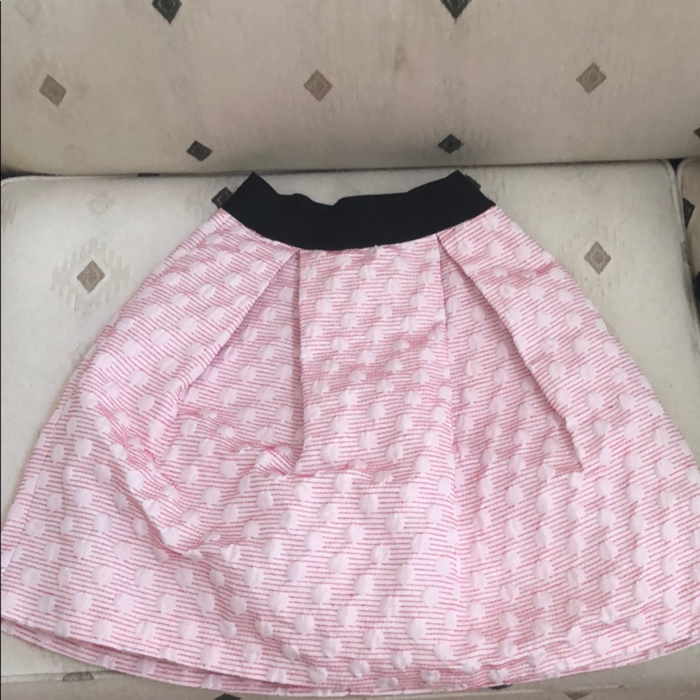 Pinko Skirt